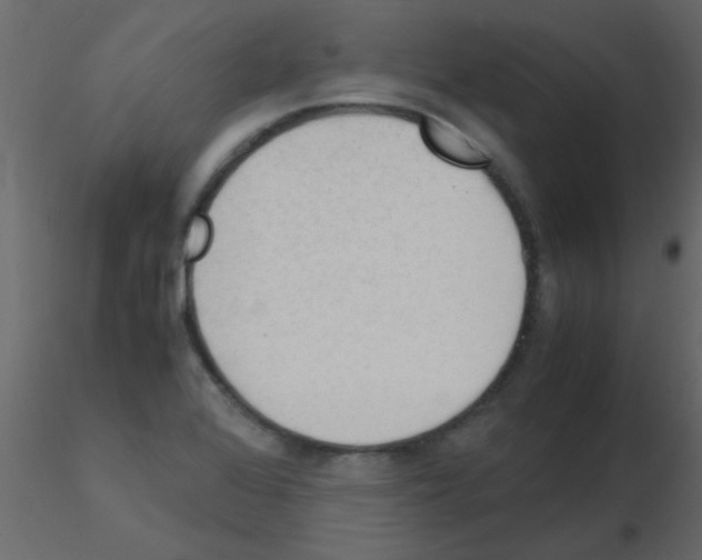 X0000115841368200912242008