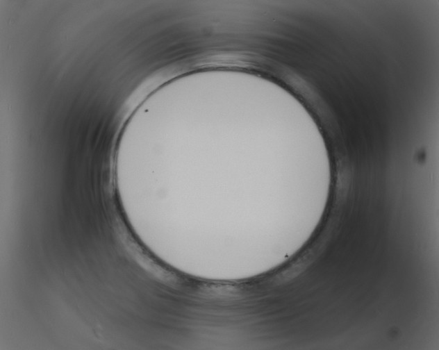 X0000115841370200912242008