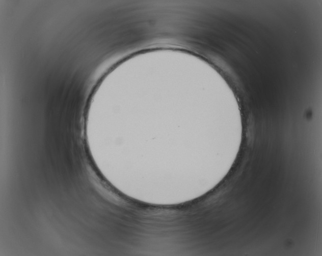 X0000115841372200912242008