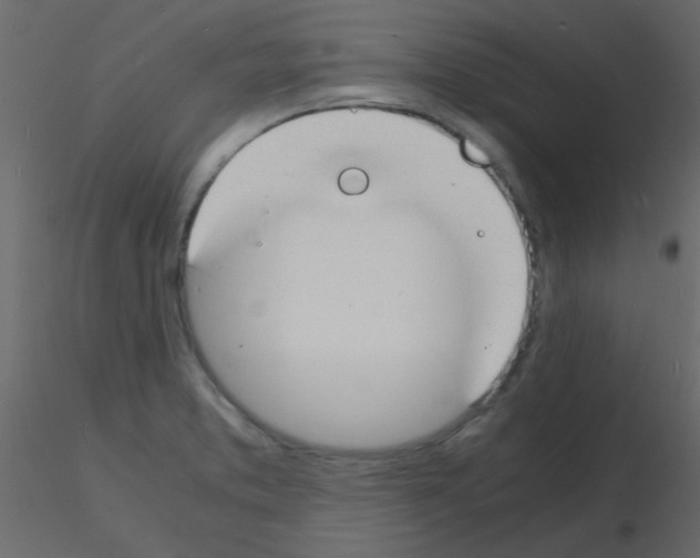 X0000115841373200912242008