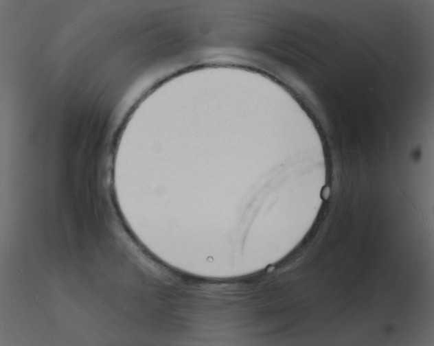 X0000115841376200912242008