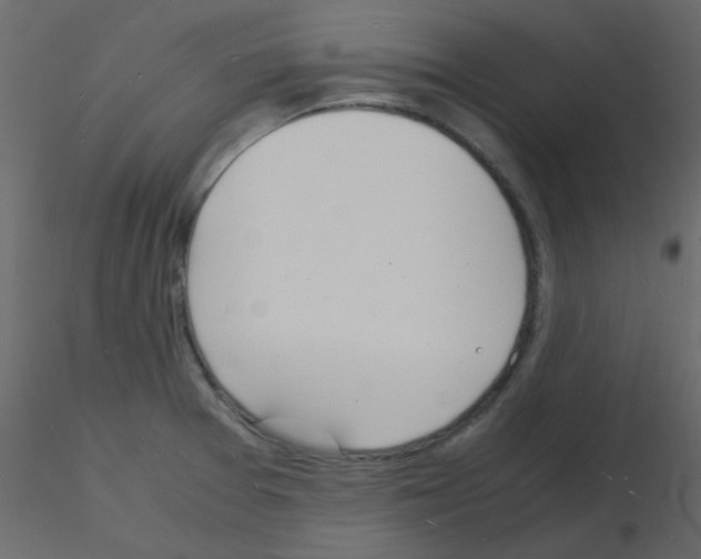 X0000115841377200912242008