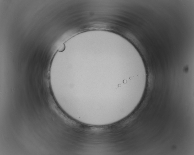 X0000115841378200912242008