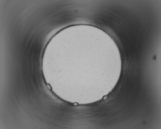 X0000115841380200912242008