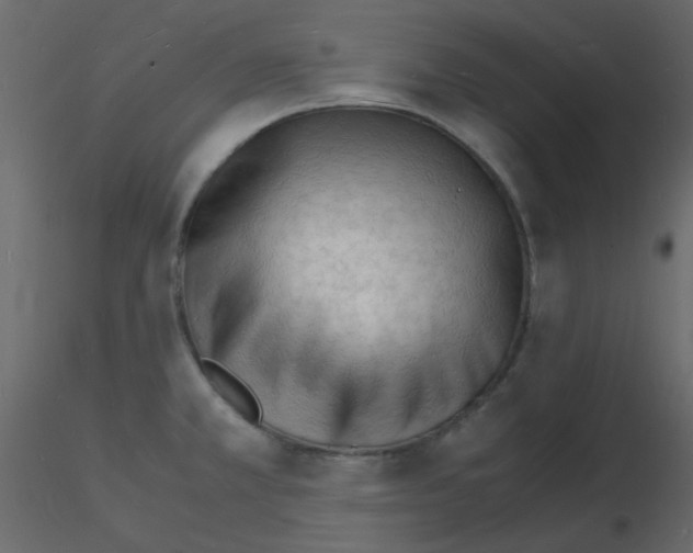 X0000115841381200912242008