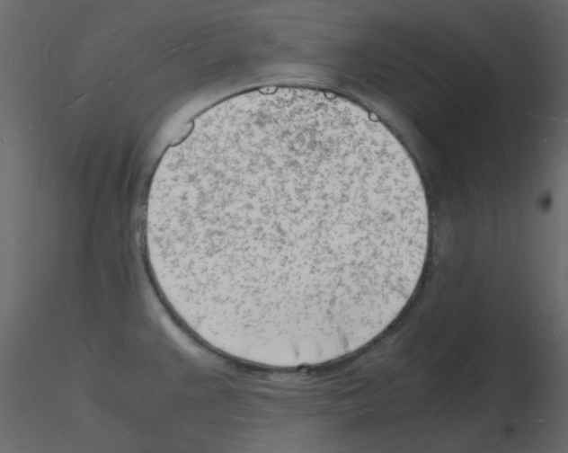 X0000115841383200912242008