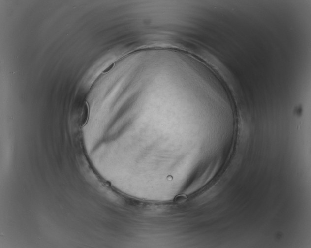 X0000115841385200912242008