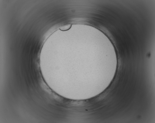 X0000115841386200912242008