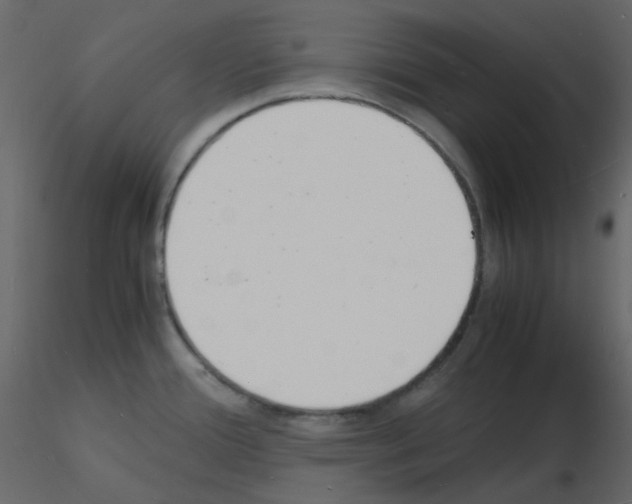 X0000115841388200912242008