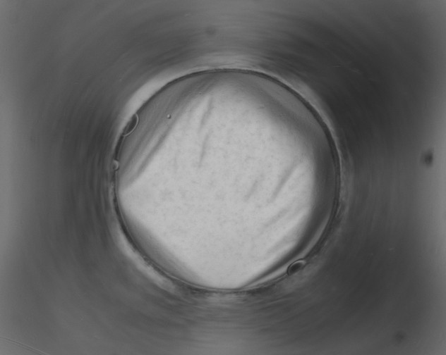 X0000115841389200912242008