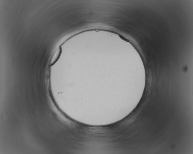 X0000115841391200912242007