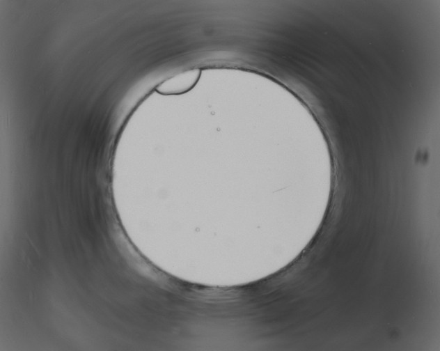 X0000115841392200912242007