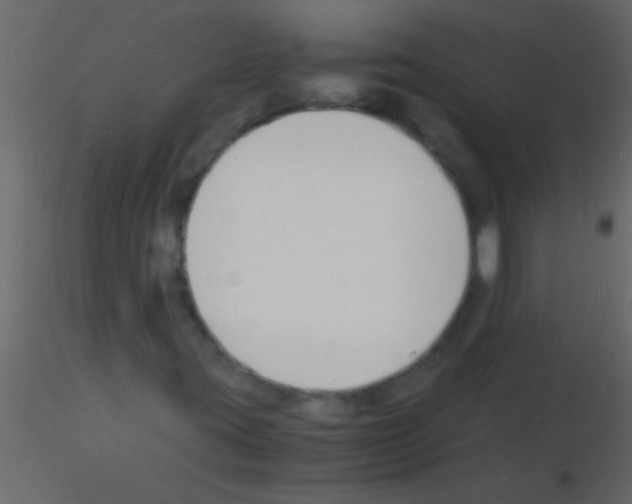 X0000115841395200912242007