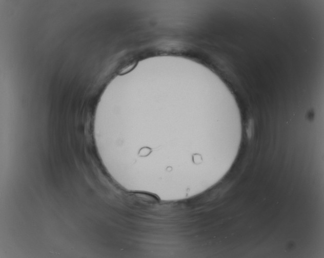 X0000115841396200912242007