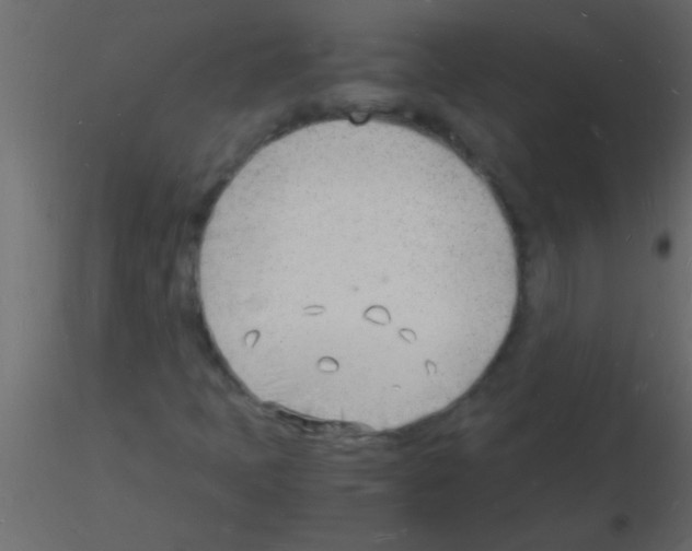 X0000115841397200912242007