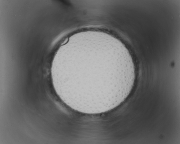 X0000115841400200912242007