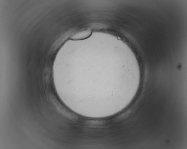 X0000115841401200912242007