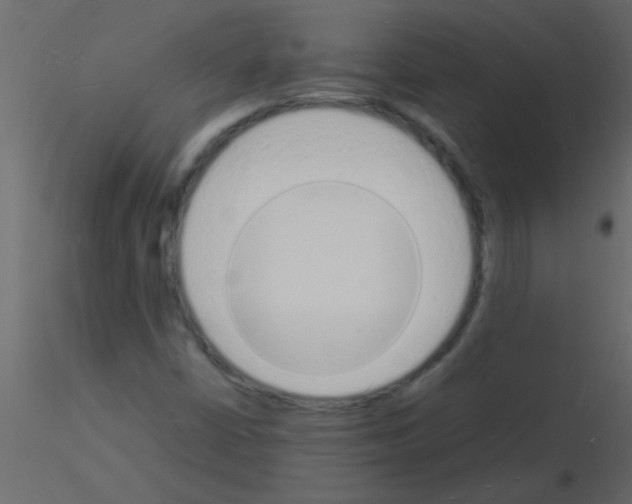 X0000115841402200912242007