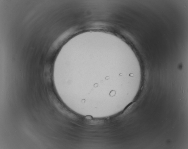 X0000115841403200912242007