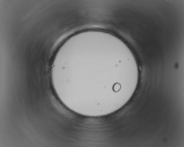 X0000115841404200912242007