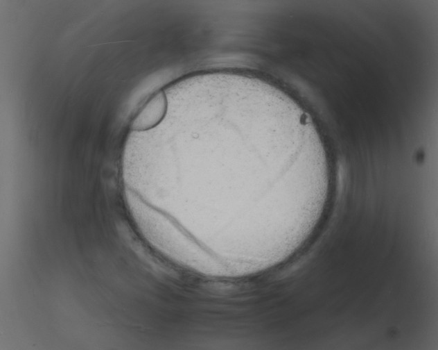 X0000115841405200912242007