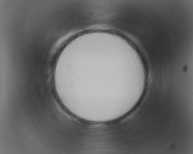 X0000115841406200912242007