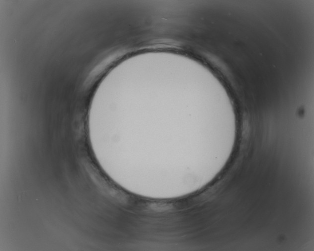 X0000115841407200912242007