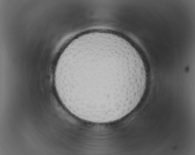 X0000115841408200912242007