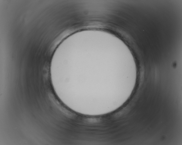 X0000115841409200912242007