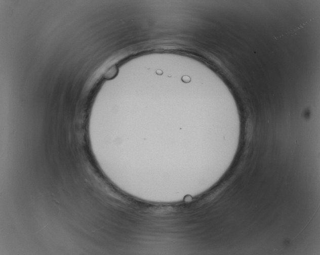 X0000115841410200912242007