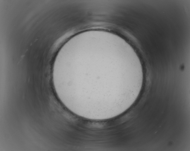 X0000115841411200912242007