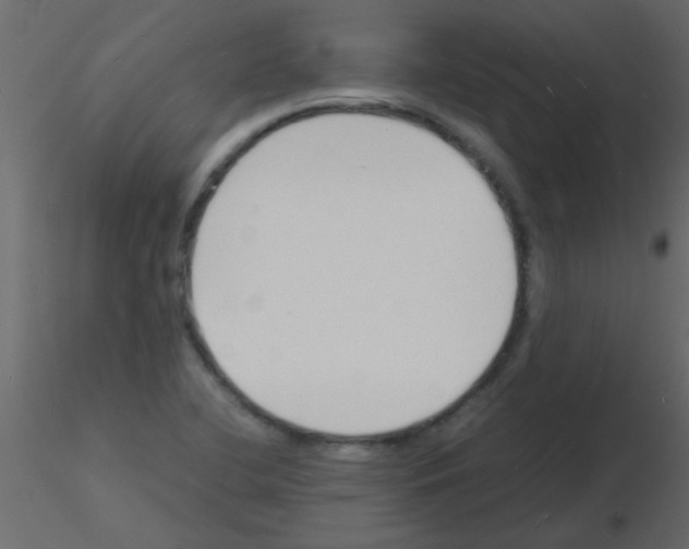 X0000115841412200912242007