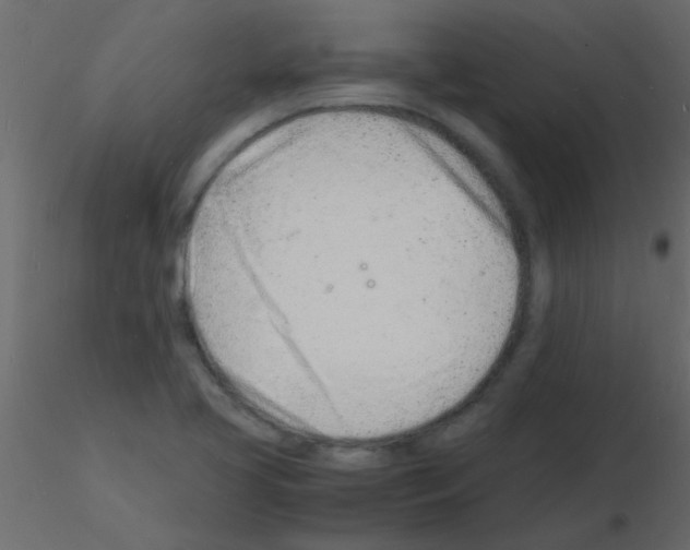 X0000115841413200912242007