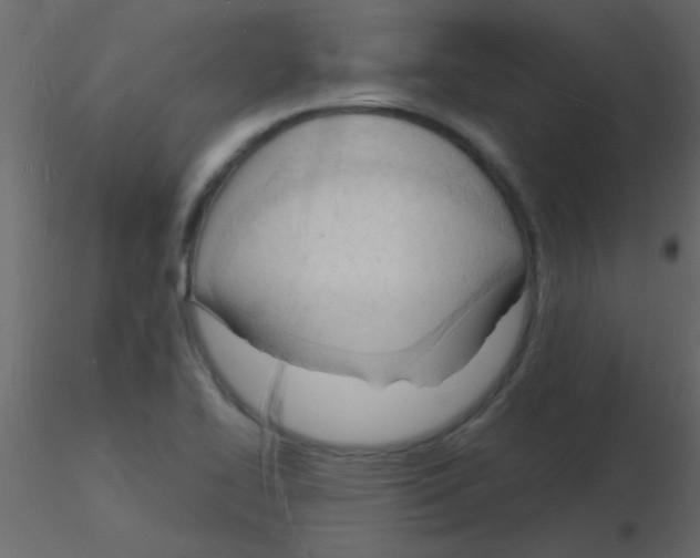 X0000115841414200912242007