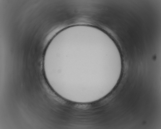 X0000115841415200912242007