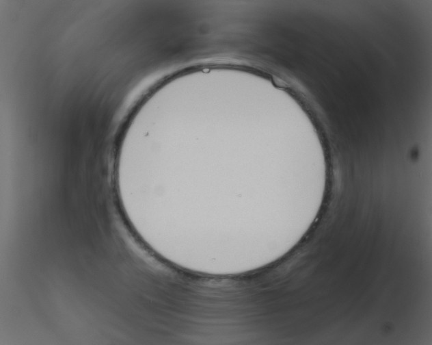 X0000115841416200912242007