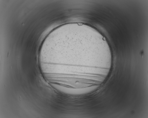 X0000115841419200912242007