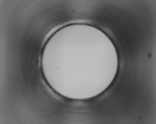 X0000115841420200912242007