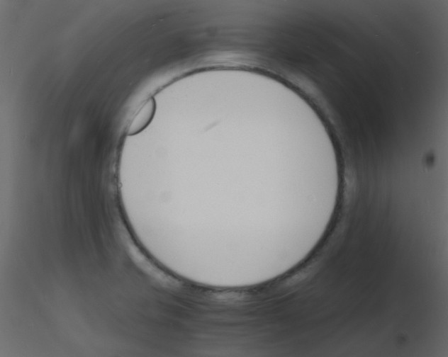 X0000115841421200912242007