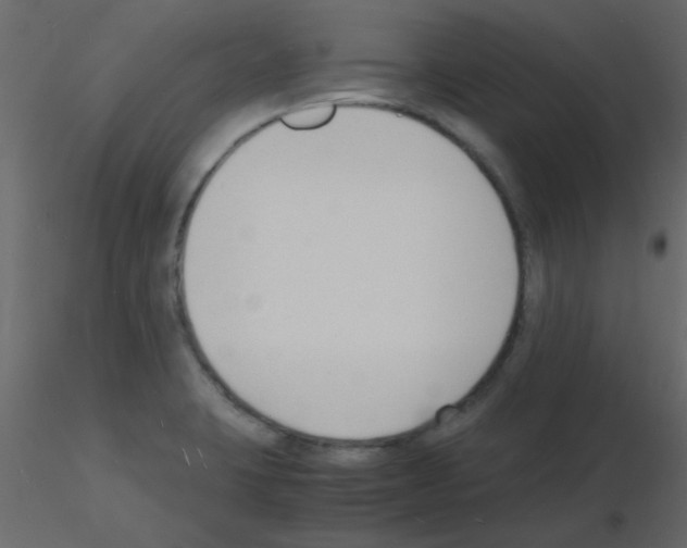 X0000115841423200912242007