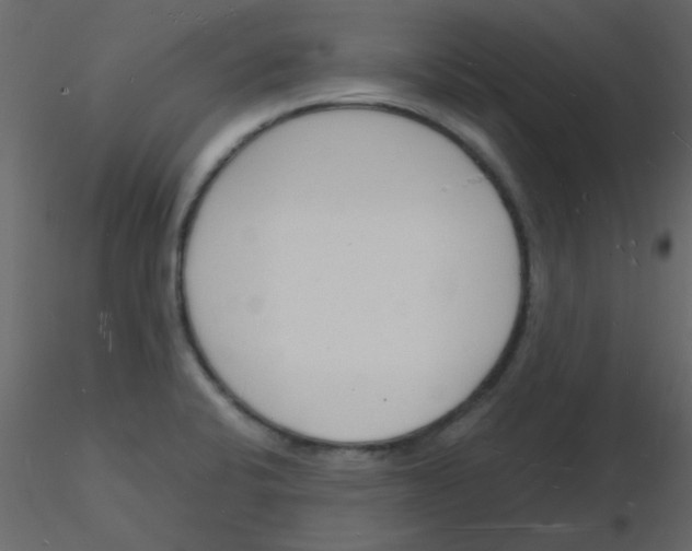 X0000115841424200912242007