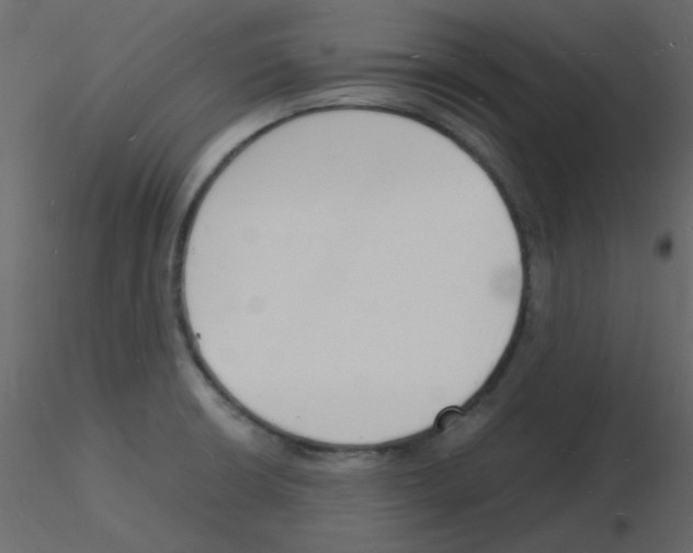 X0000115841426200912242007