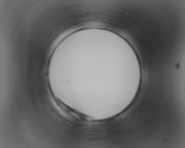 X0000115841429200912242007