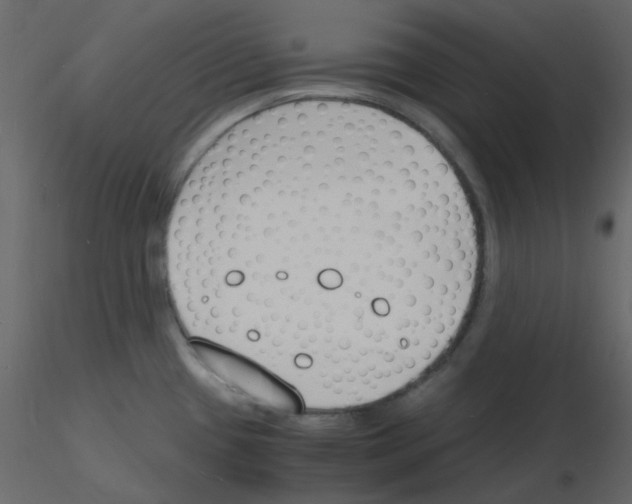 X0000115841433200912242007