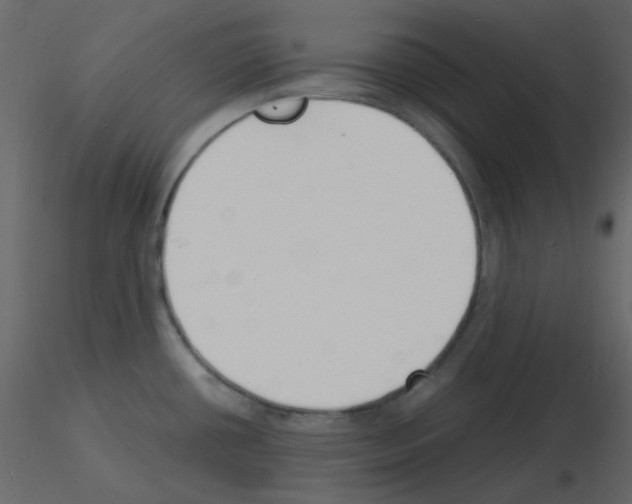 X0000115841434200912242007