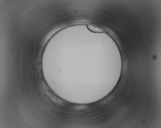 X0000115841435200912242007