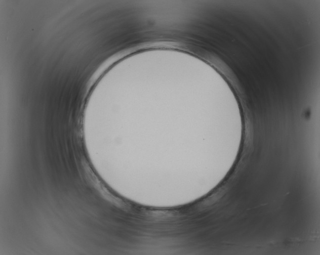 X0000115841436200912242007