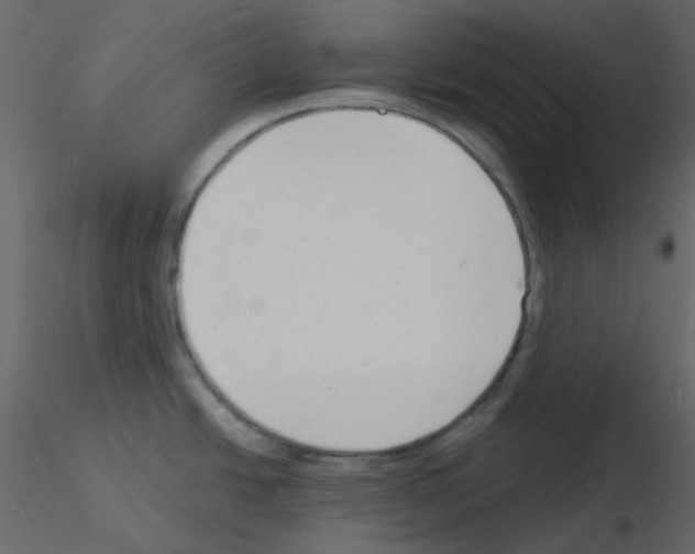 X0000115841438200912242007