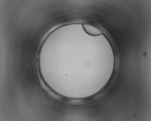 X0000115841439200912242007