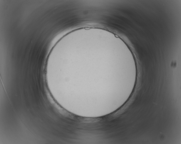 X0000115841440200912242007